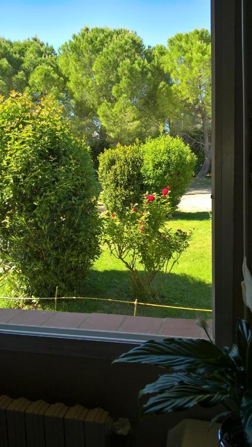 Chez Naomi Bed & Breakfast Saint-Jean-de-Cornies Exterior foto